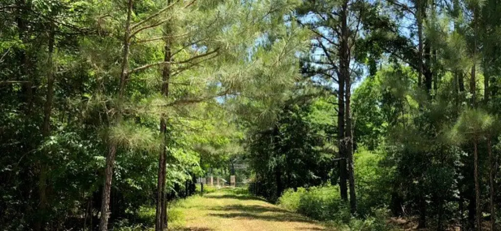 Picture 30