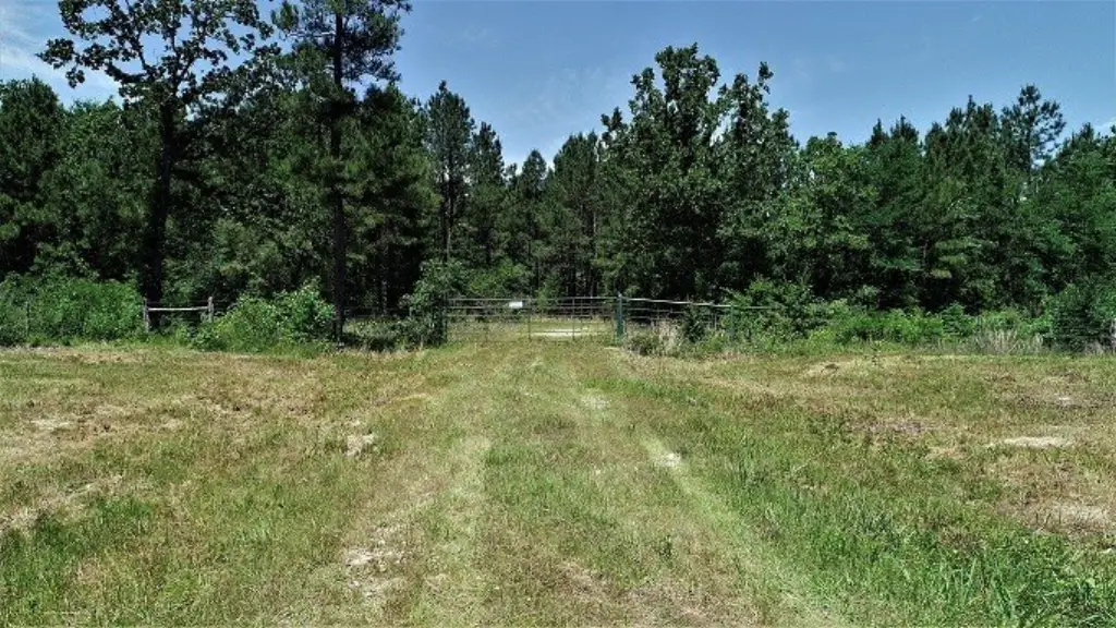 Picture 16