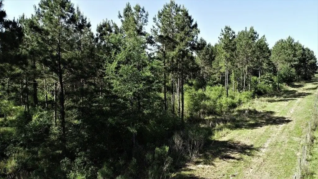Picture 29