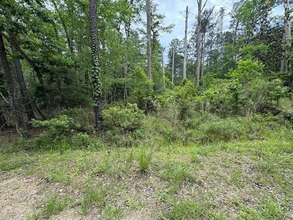 Picture 2
