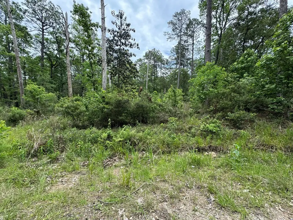 Picture 5