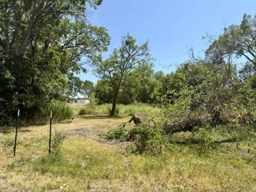 Picture 15