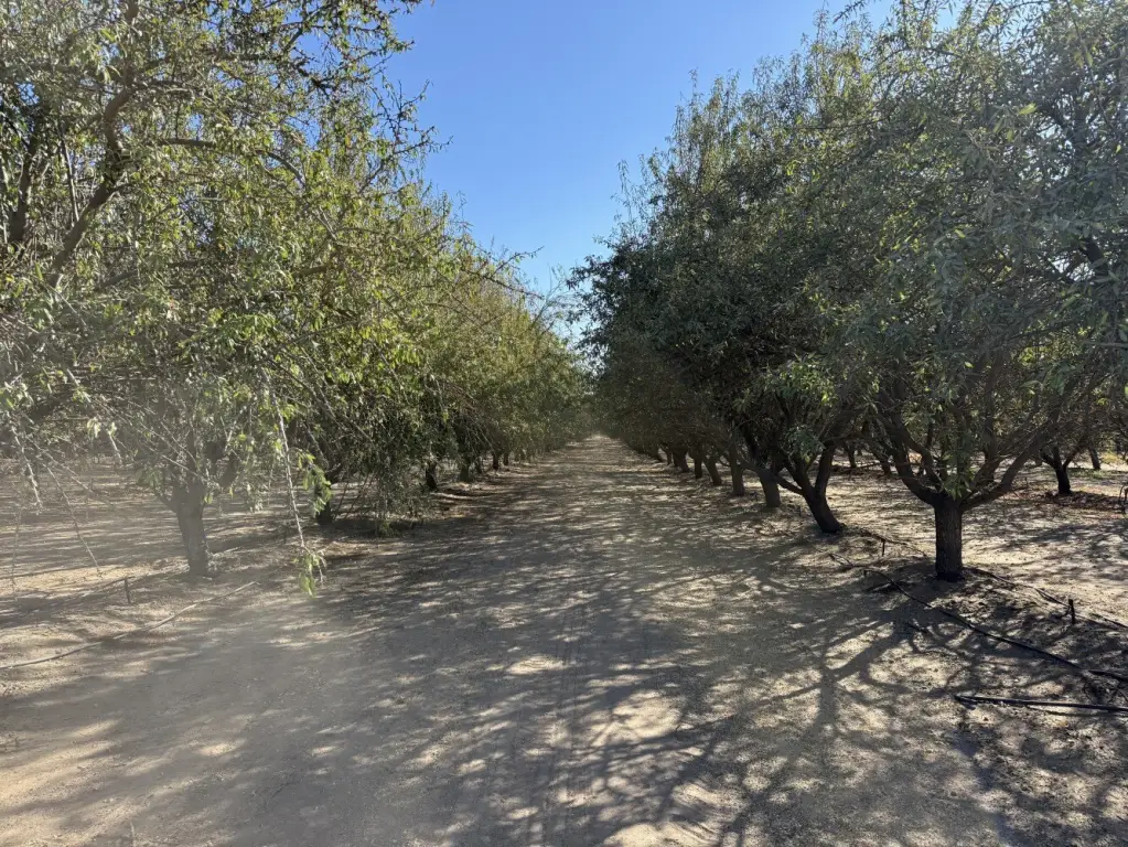 Picture 23
