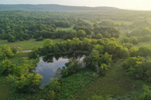 Recreational Hunting Land with Ponds