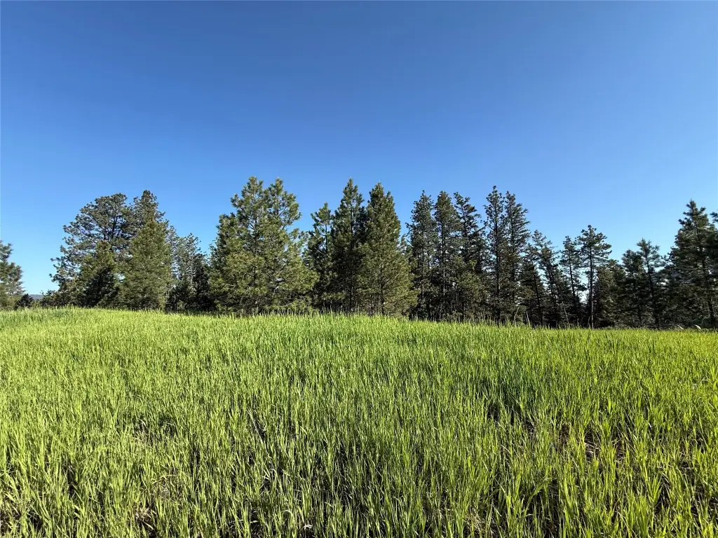 Picture 29