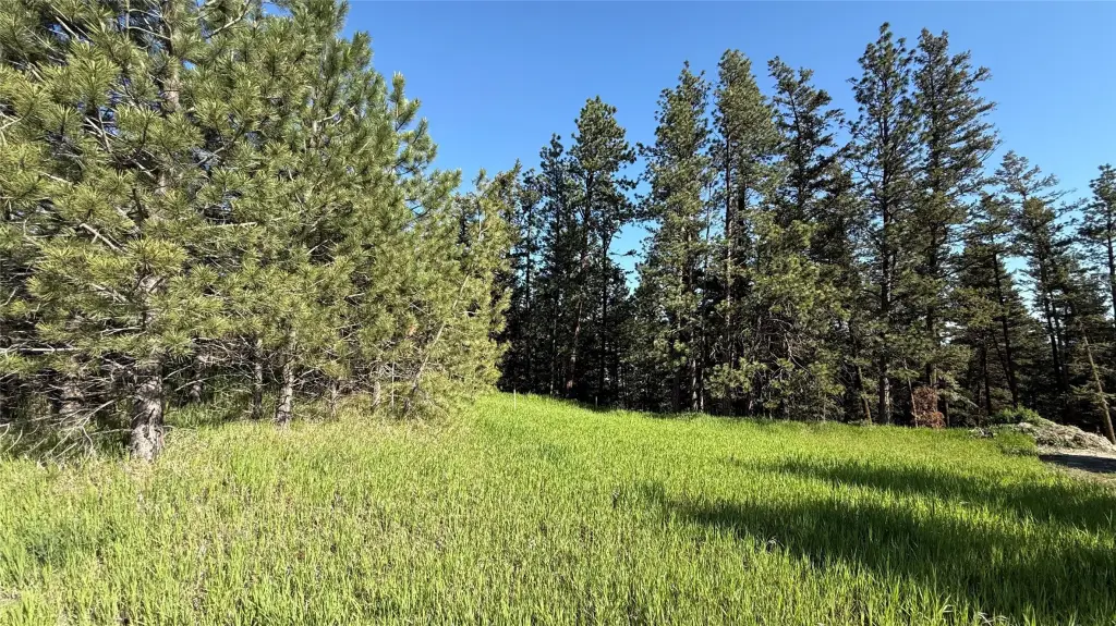 Picture 25