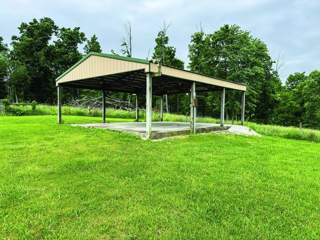 Picture 39
