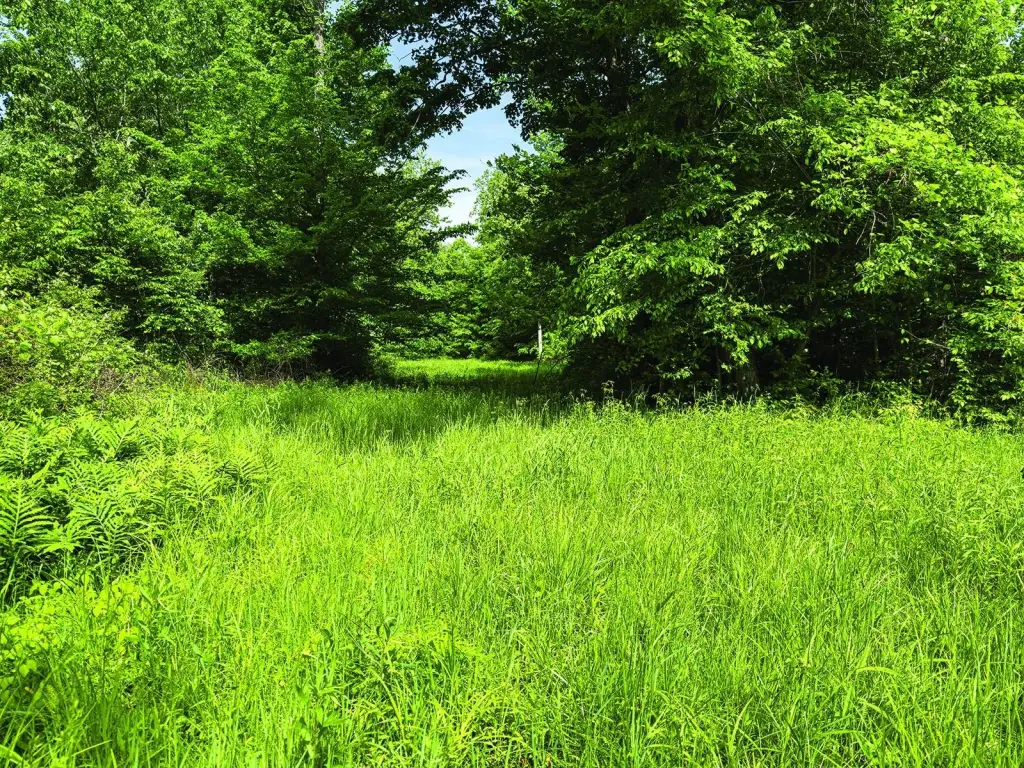 Picture 56