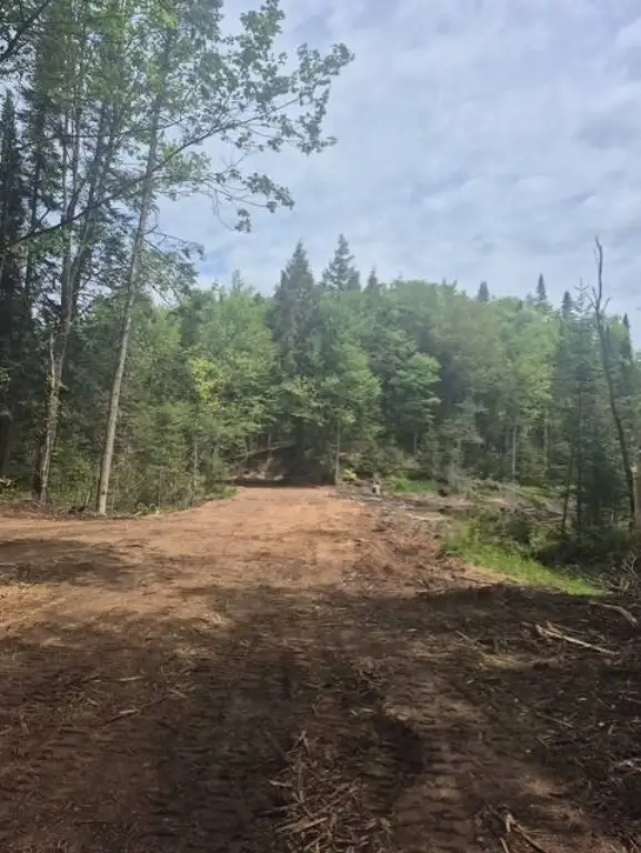 Picture 25