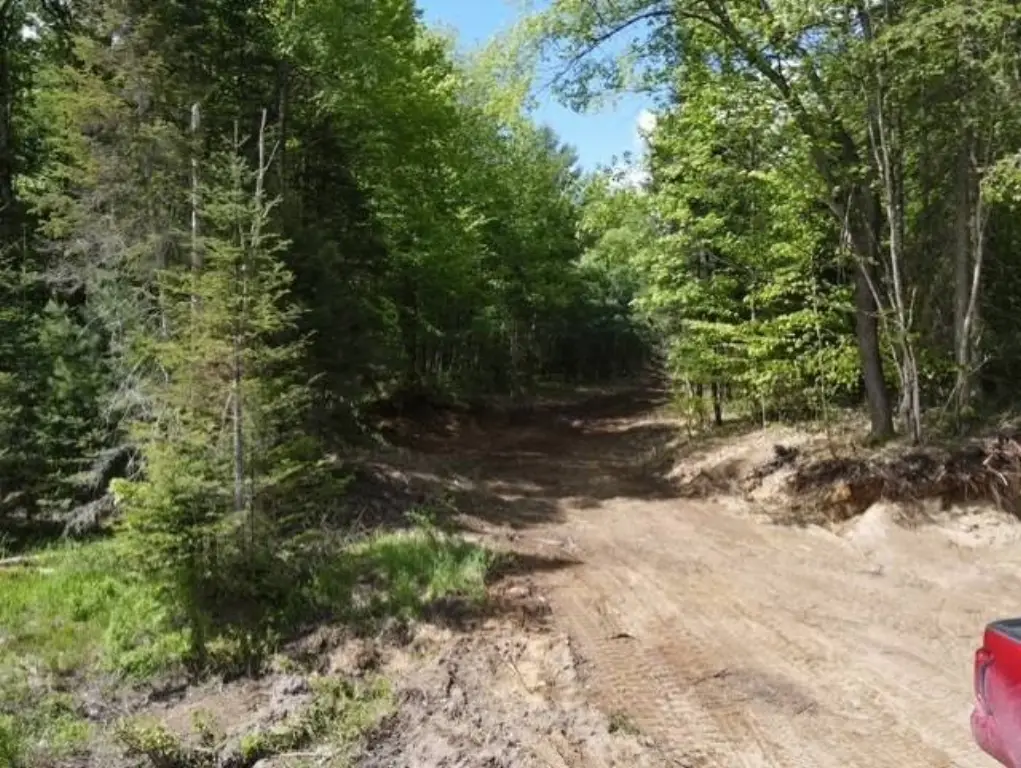 Picture 23