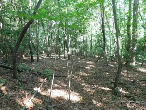 Dahlonega Land: Build Your Dream