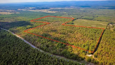 Wooded Hunting Land