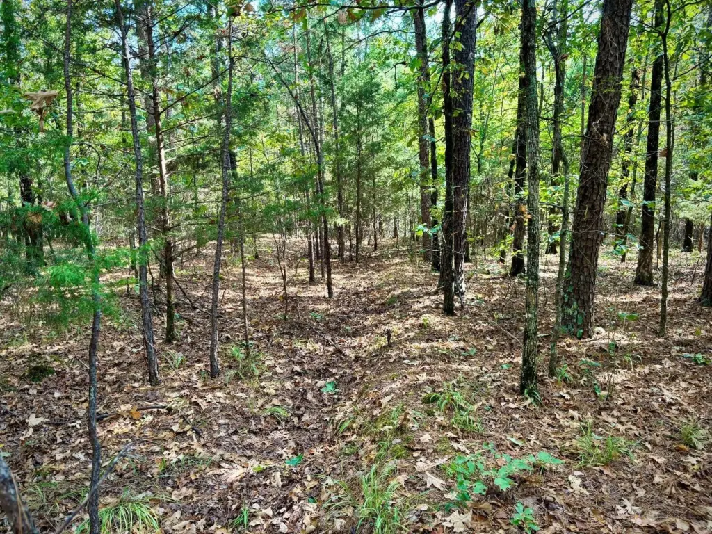 Picture 15