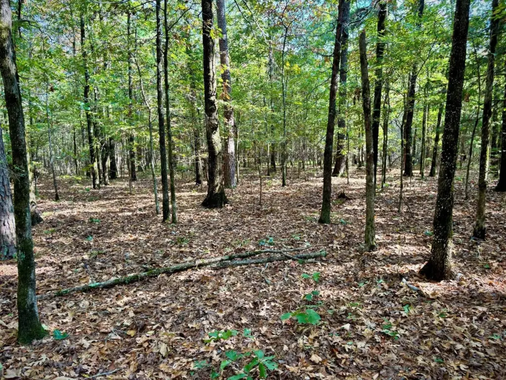 Picture 14