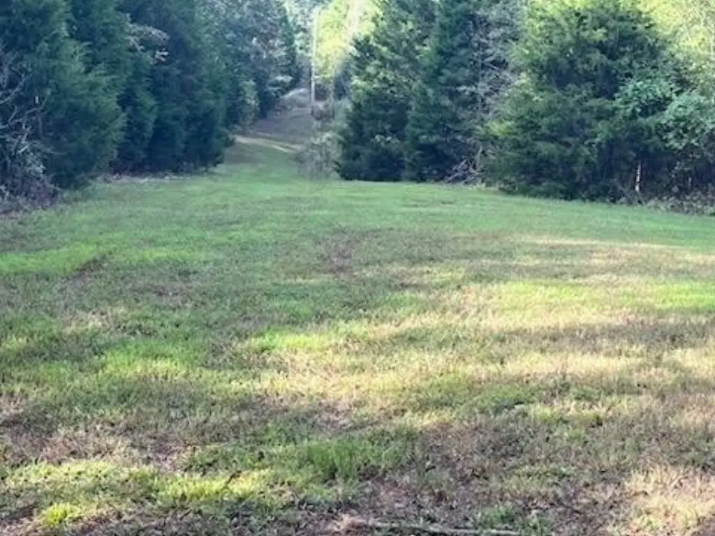 Picture 9