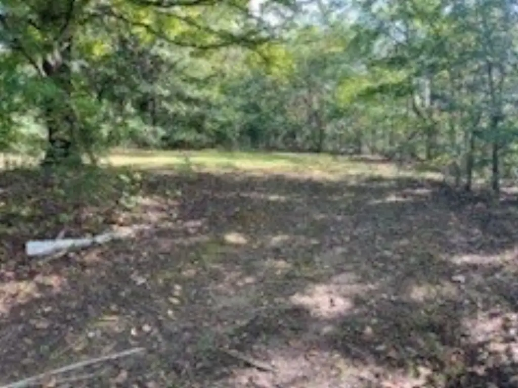 Picture 19