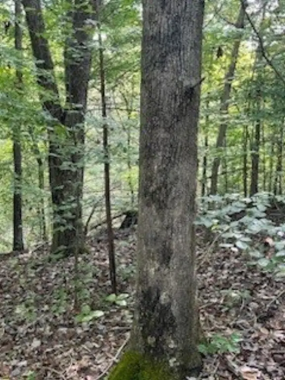 Picture 13