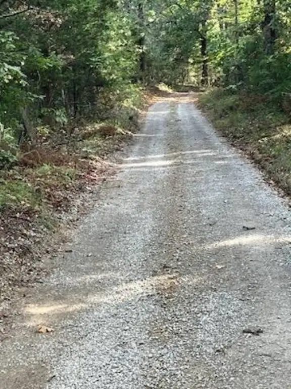Picture 24