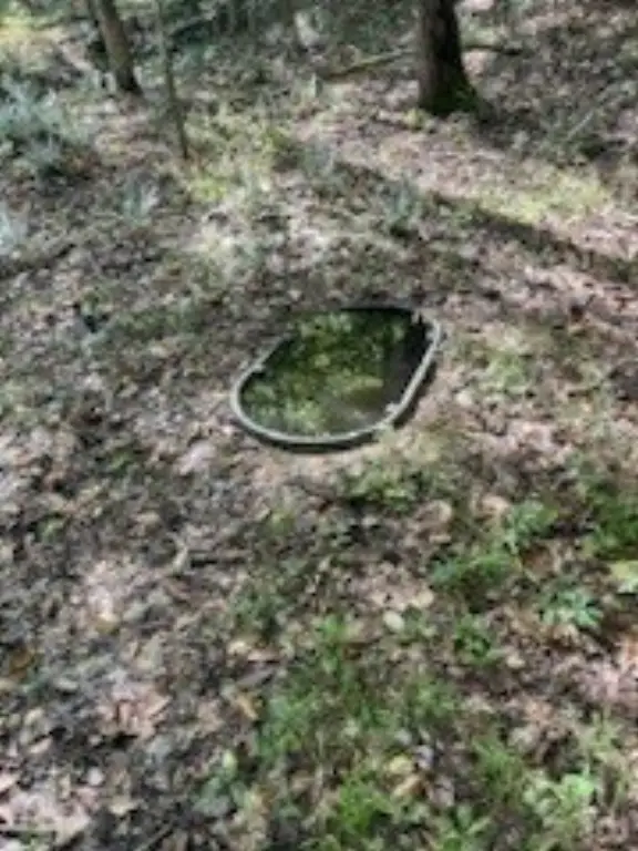 Picture 25