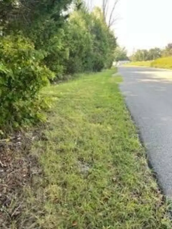 Picture 22