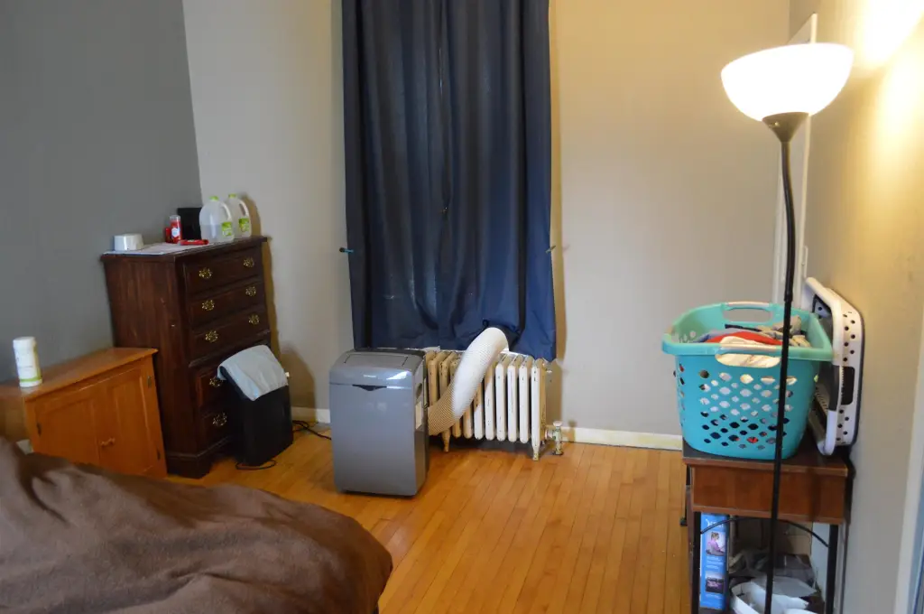 Picture 15
