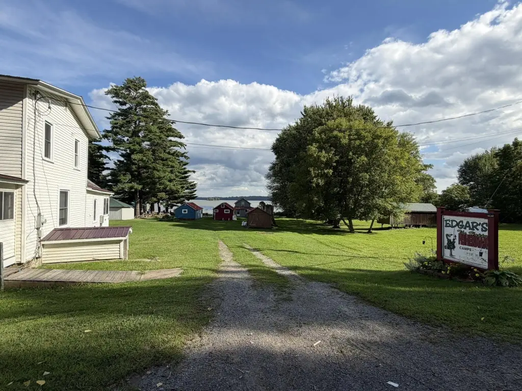 Picture 5