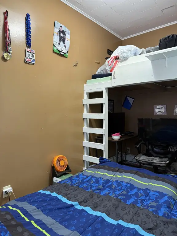 Picture 29