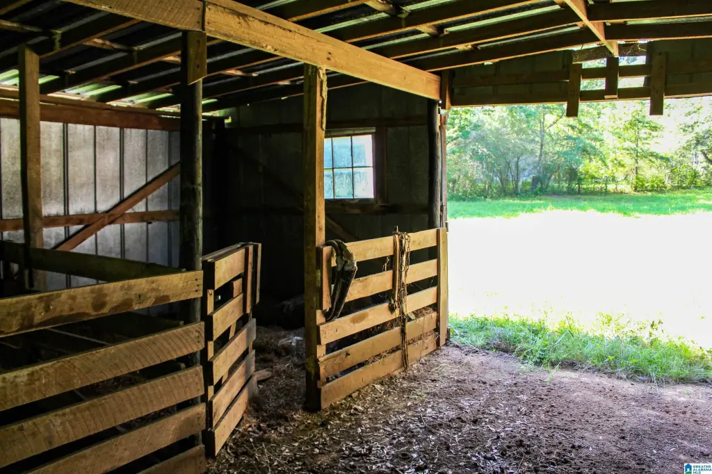 Picture 20