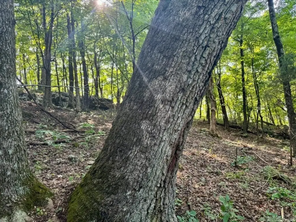 Picture 19