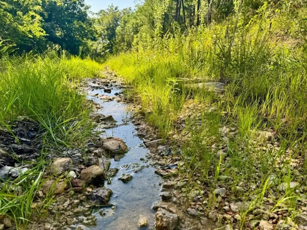 Picture 23