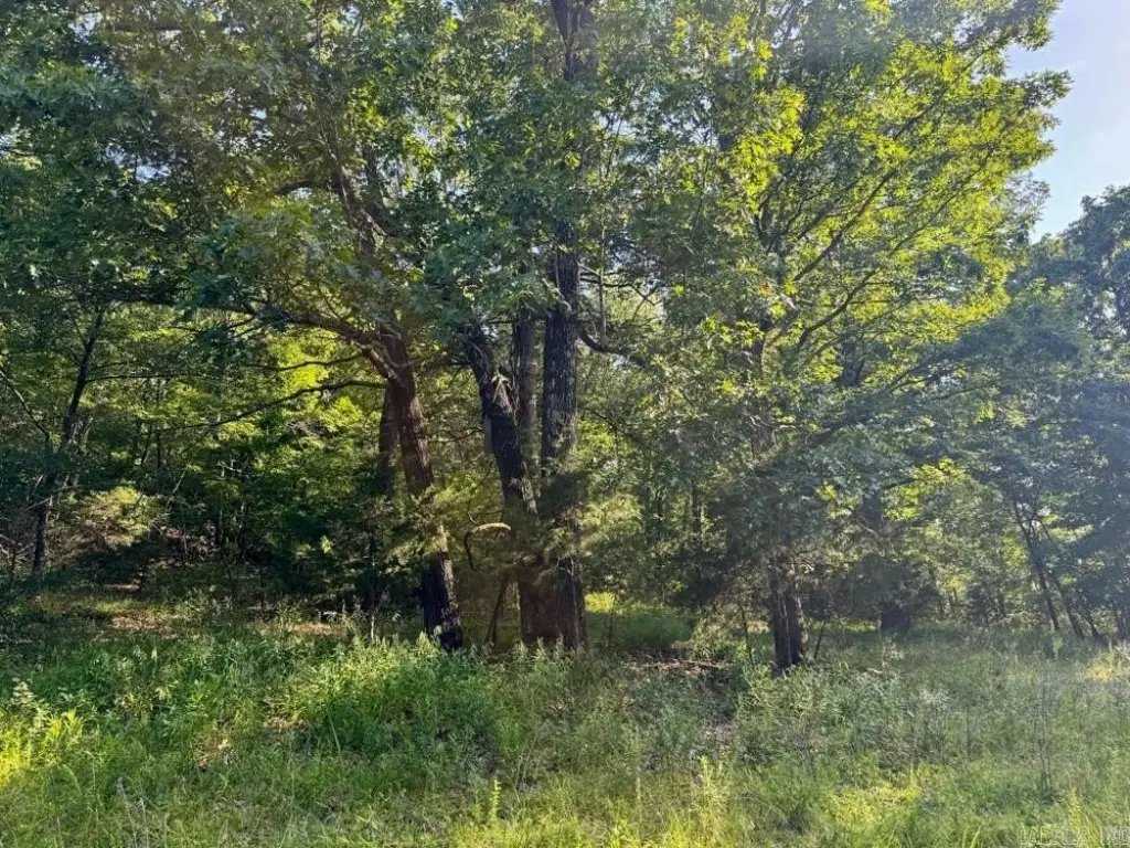 Picture 42
