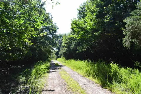 Five Acres Near Bull Shoals