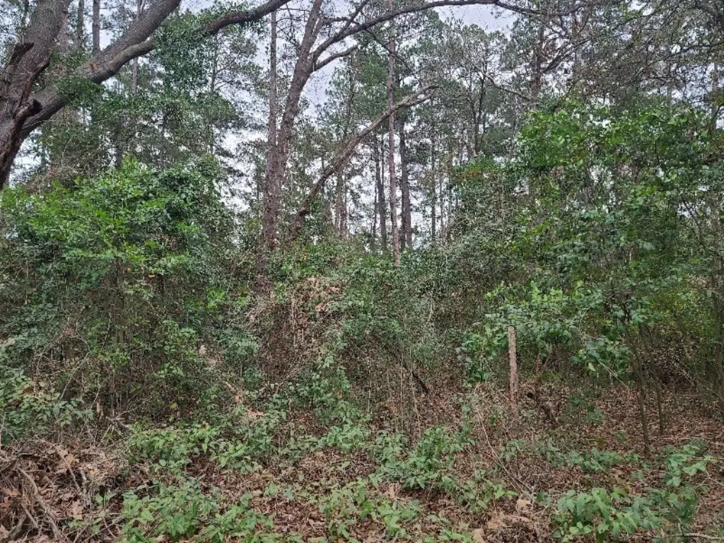 Picture 6
