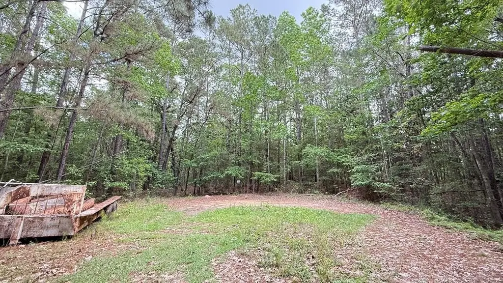 Picture 4