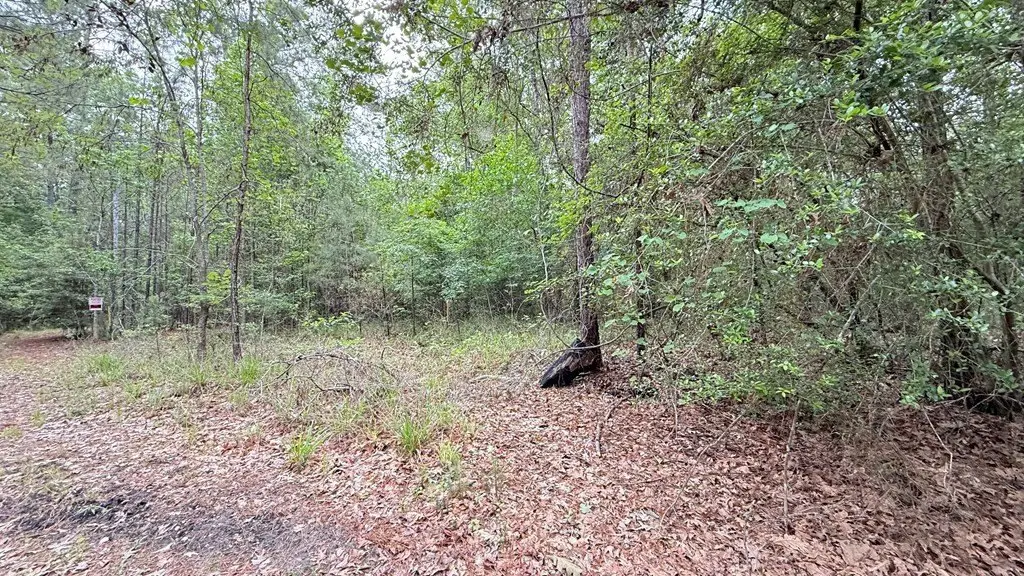 Picture 7