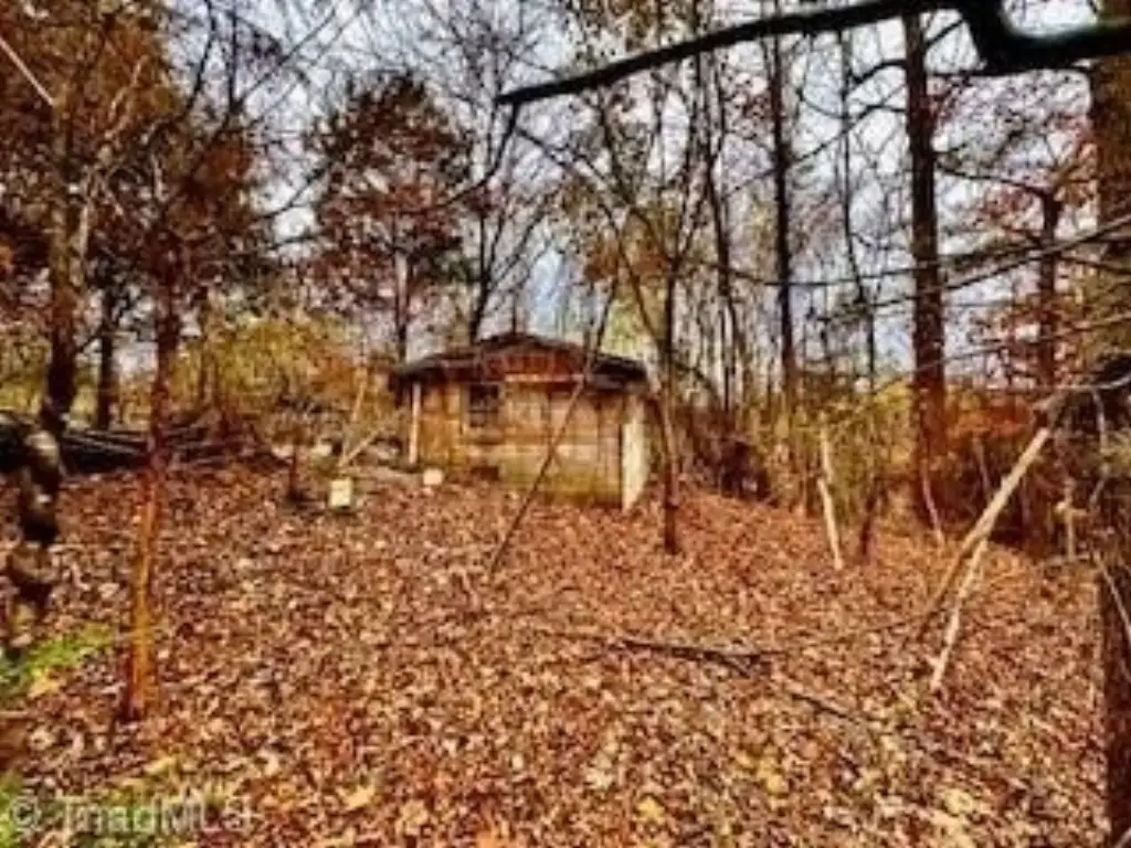 Picture 8