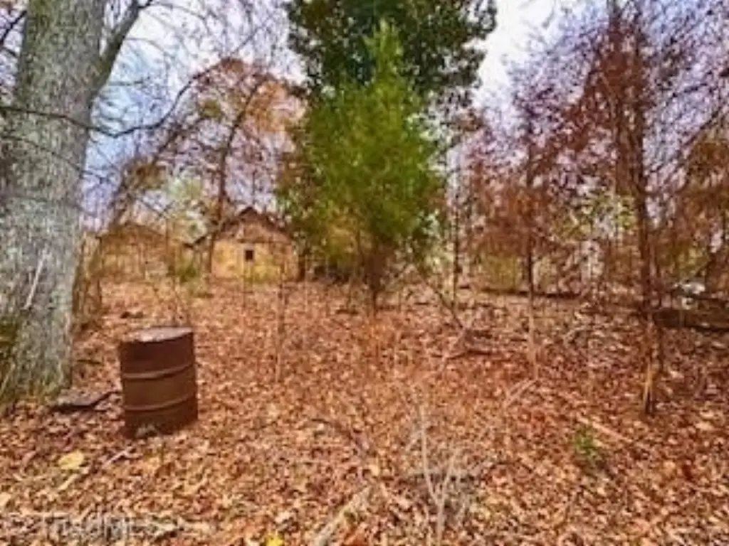 Picture 7