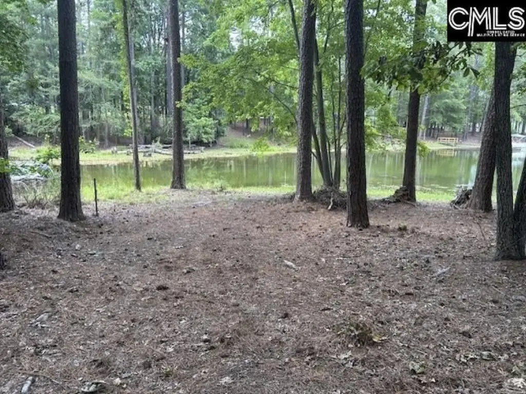 Picture 3
