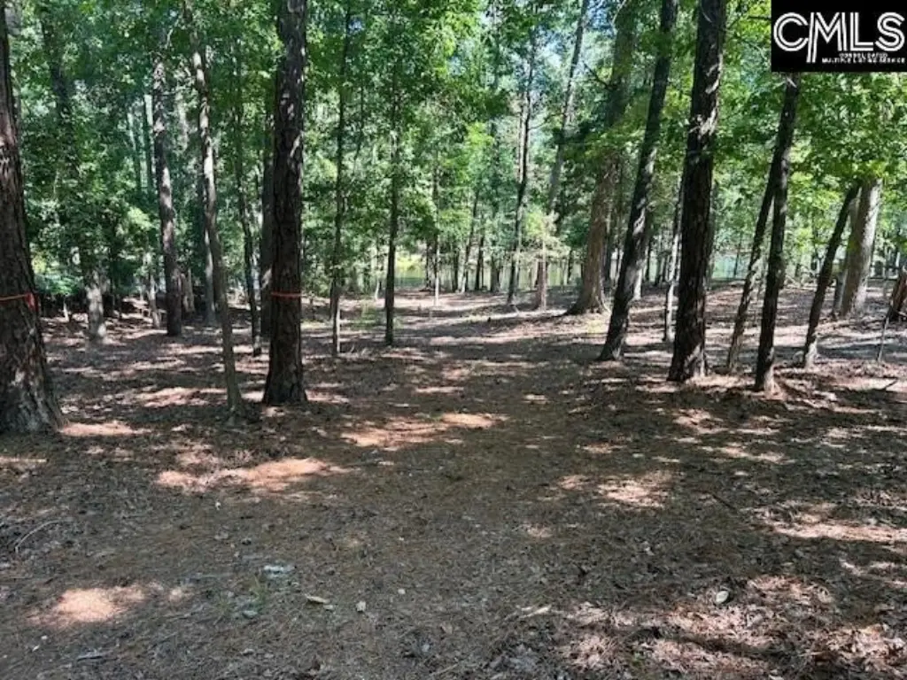 Picture 2