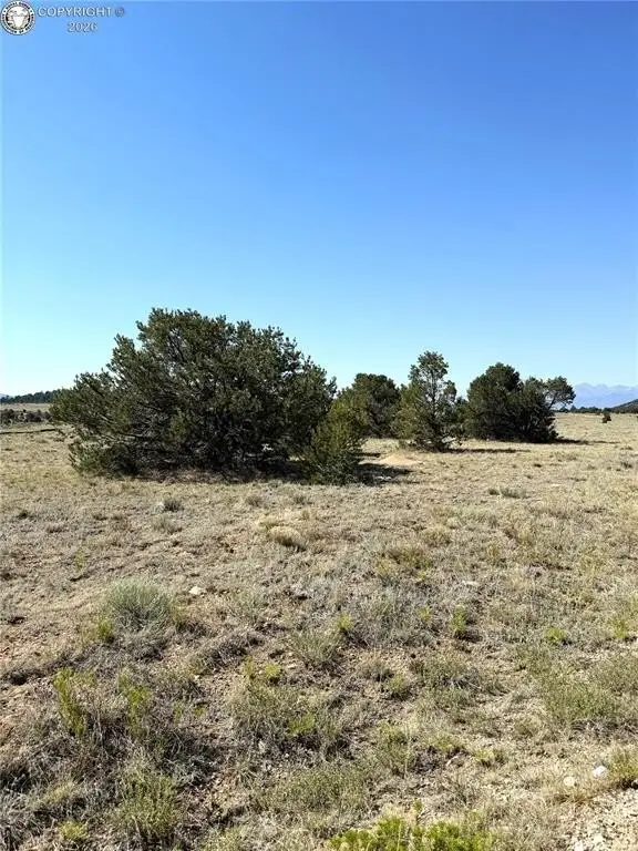 Picture 28