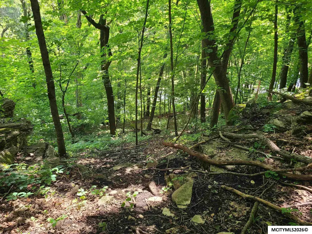Picture 23