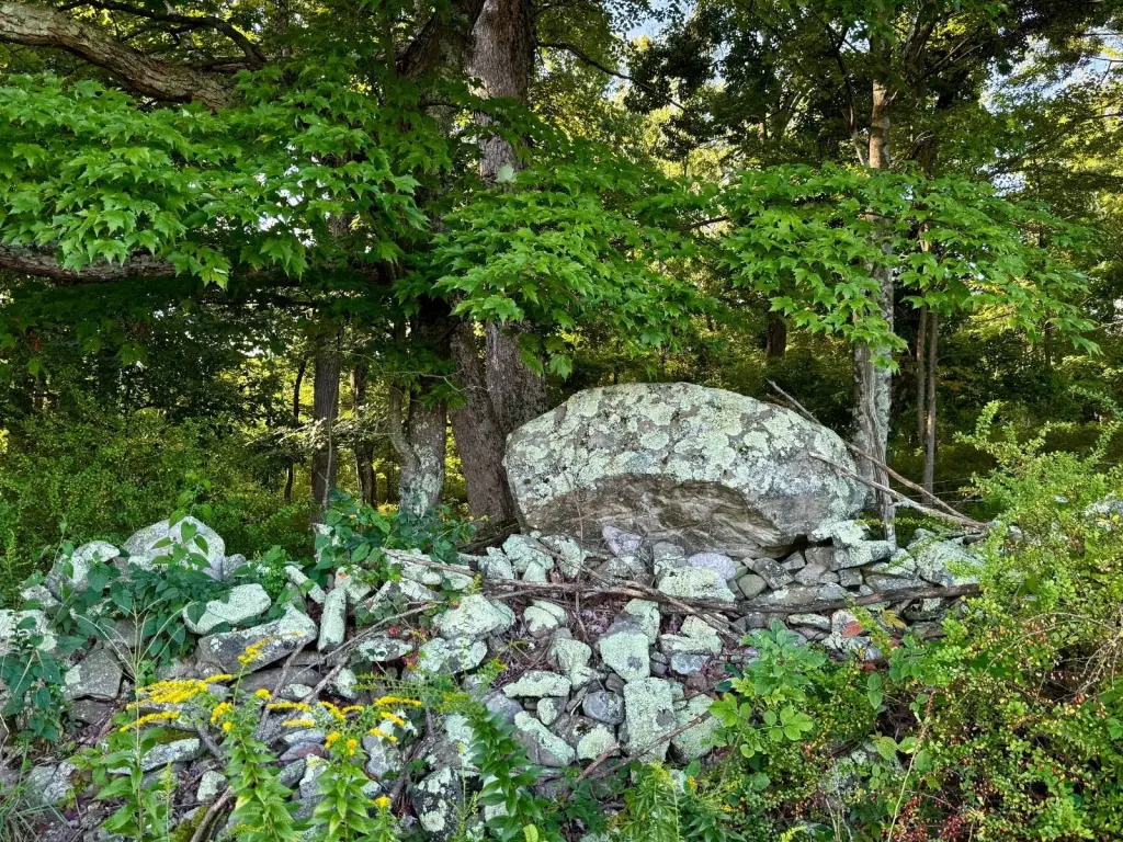 Picture 20