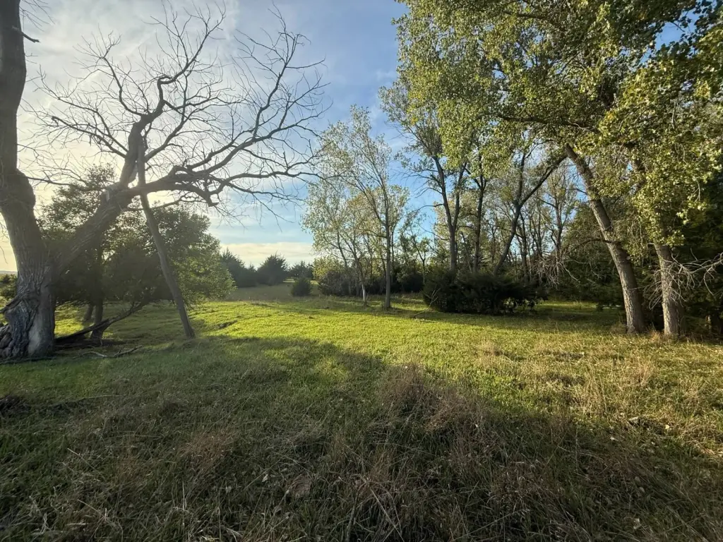Picture 16