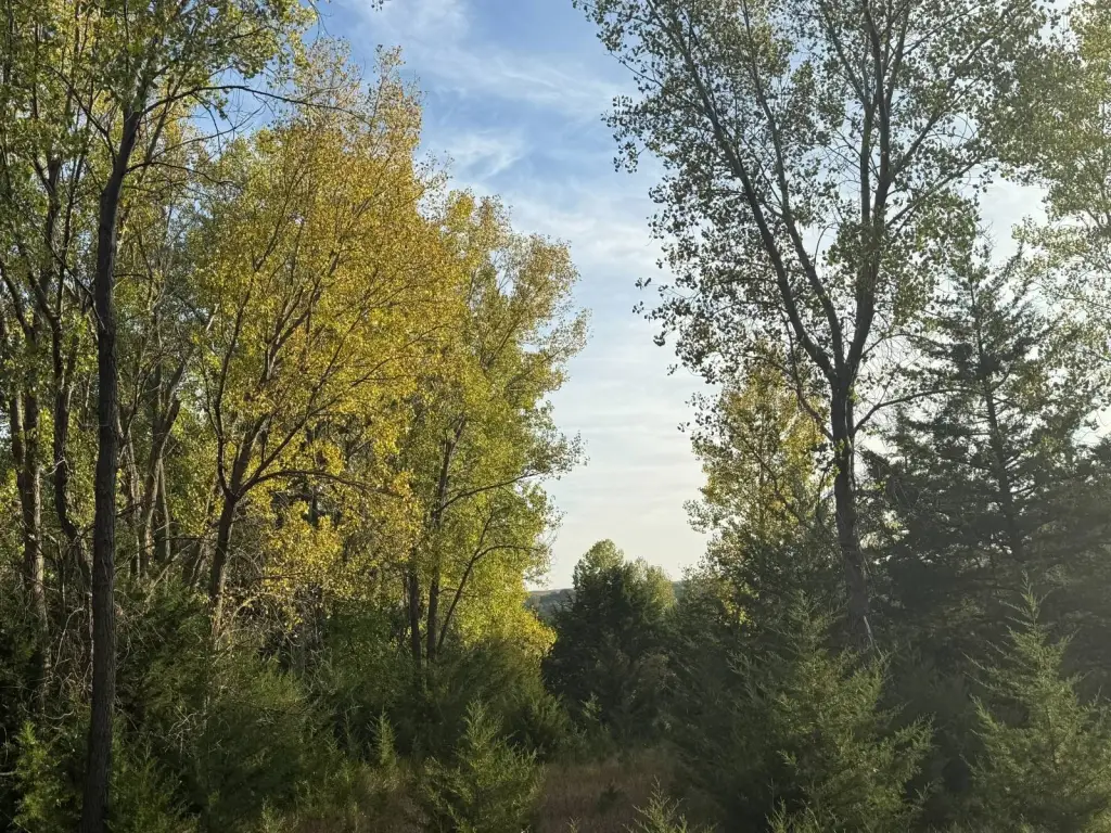 Picture 19