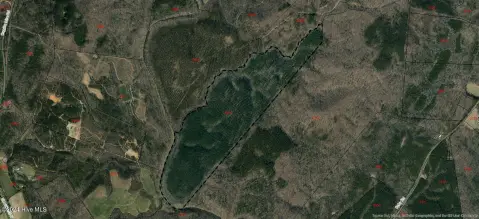 147 Acres of Recreational Timberland