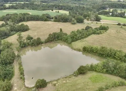 Pasture Farmland with Pond