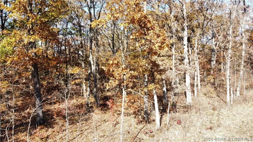 Picture 10