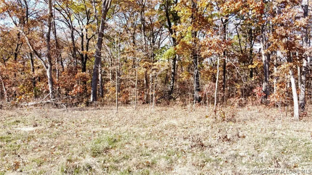 Picture 6