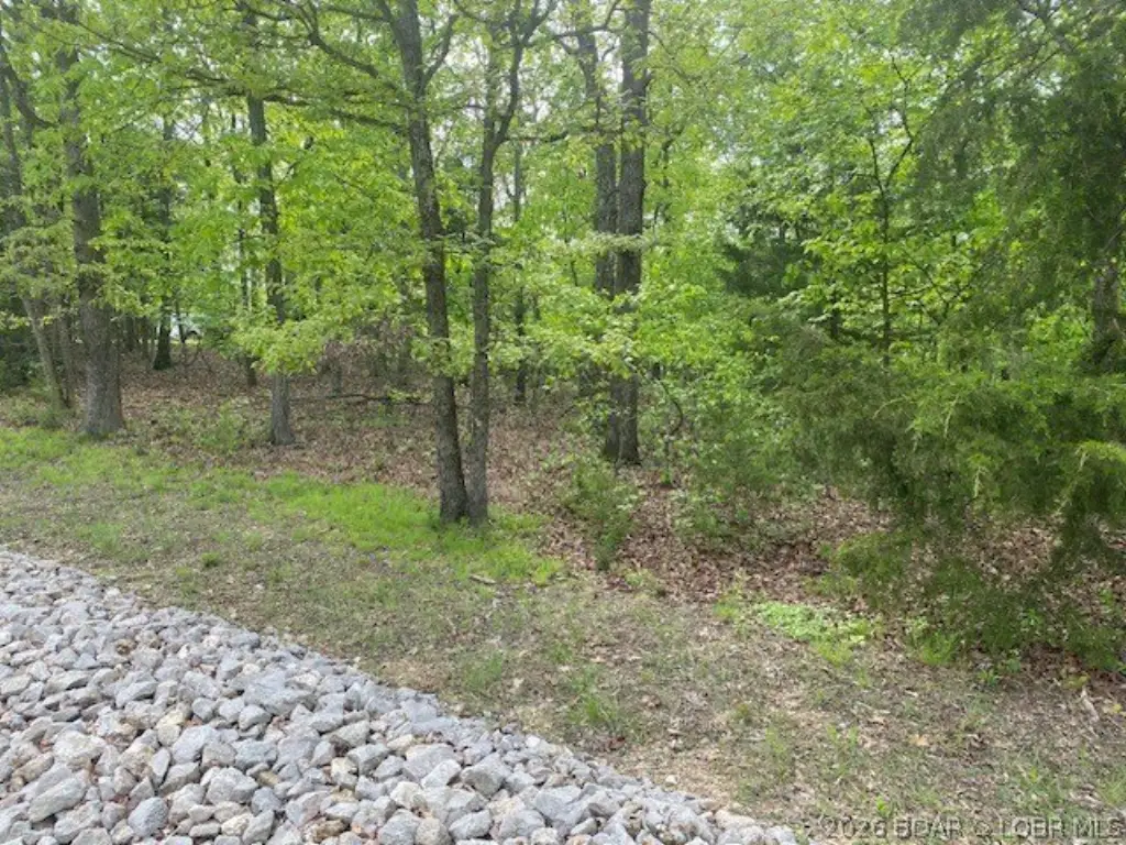 Picture 5