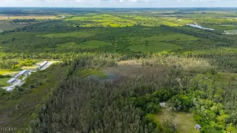 Punta Gorda Agricultural Land